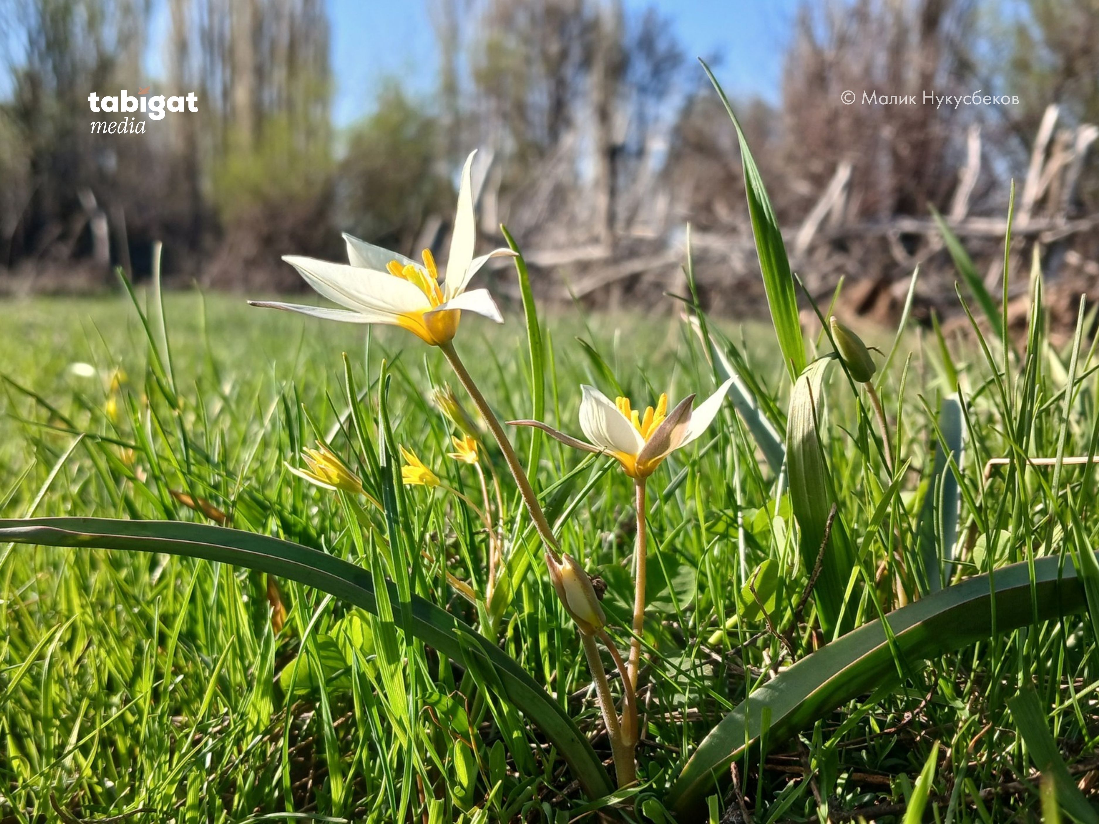 Орыс әйелдерінің күйеулерін алдағаны туралы порно видеолар